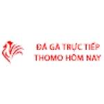 Đá Gà Trực Tiếp Thomo Hôm Nay