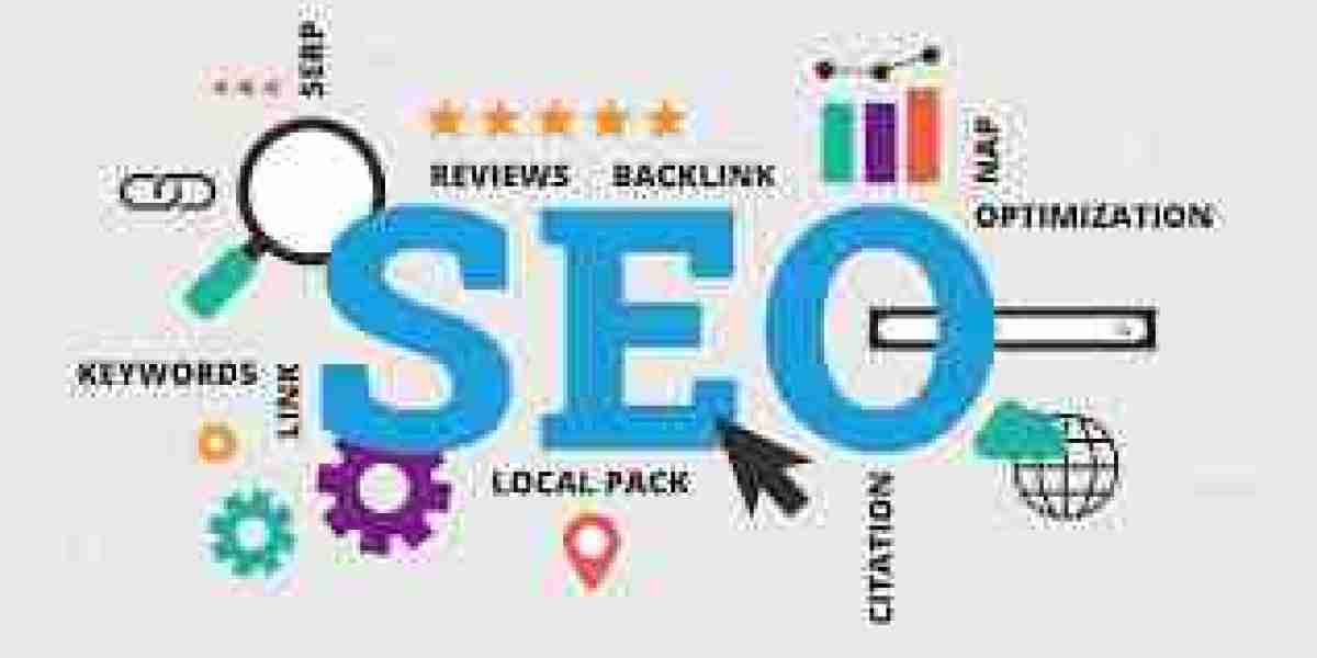 Top SEO Services in Tampa