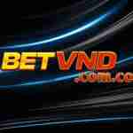 betvnd name