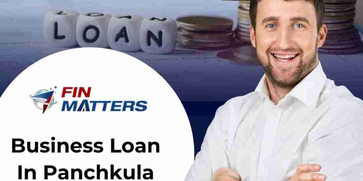 Business Loan in Panchkula Chandigarh: Your Ultimate Guide by Fin Matters