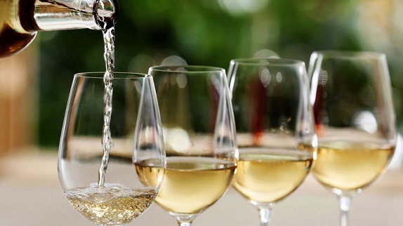 Chardonnay 101: Everything You Need to Know About This Iconic White Wine - Editors Top