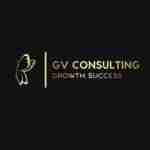 GV Consulting