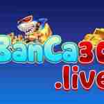 Banca30 live