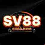 SV88 kids