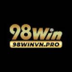 98Winvn Pro