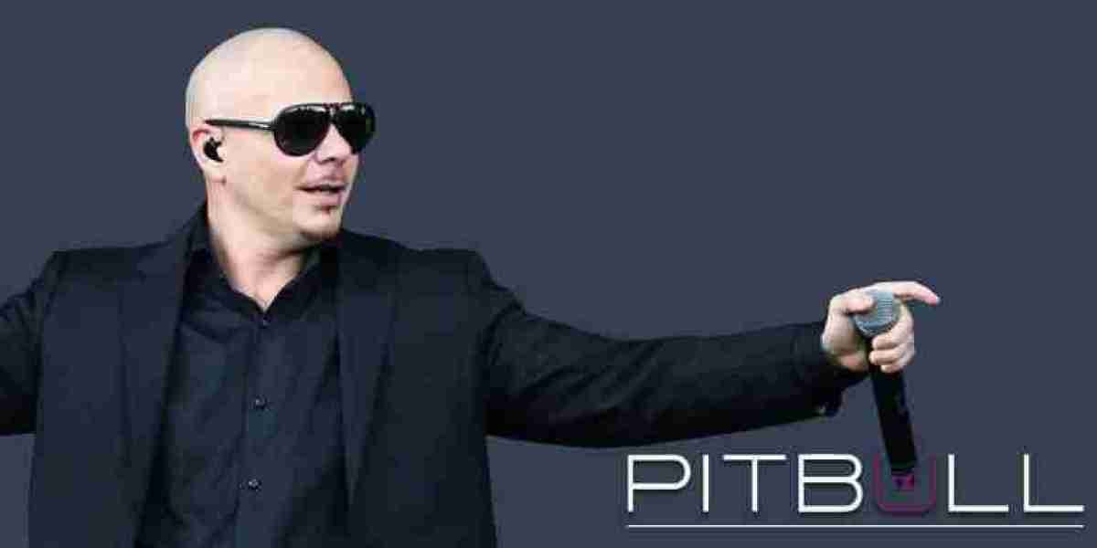 What is Pitbull’s Networth?