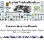 Workshop Manuals