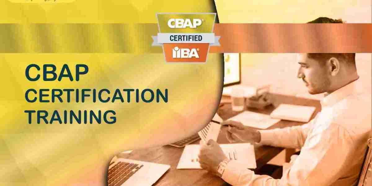 CBAP Certification Training in Amsterdam: Elevate Your Business Analysis Career with Sprintzeal