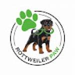 Rottweiler Paw