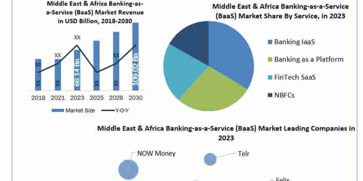 Middle East and Africa Banking-as-a-Service (BaaS) Market Industry Segmentation, Analysis and Forecast 2024-2030