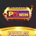 pkwincom bond