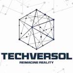 Techversol Inc