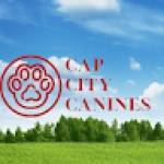 Cap City Canines