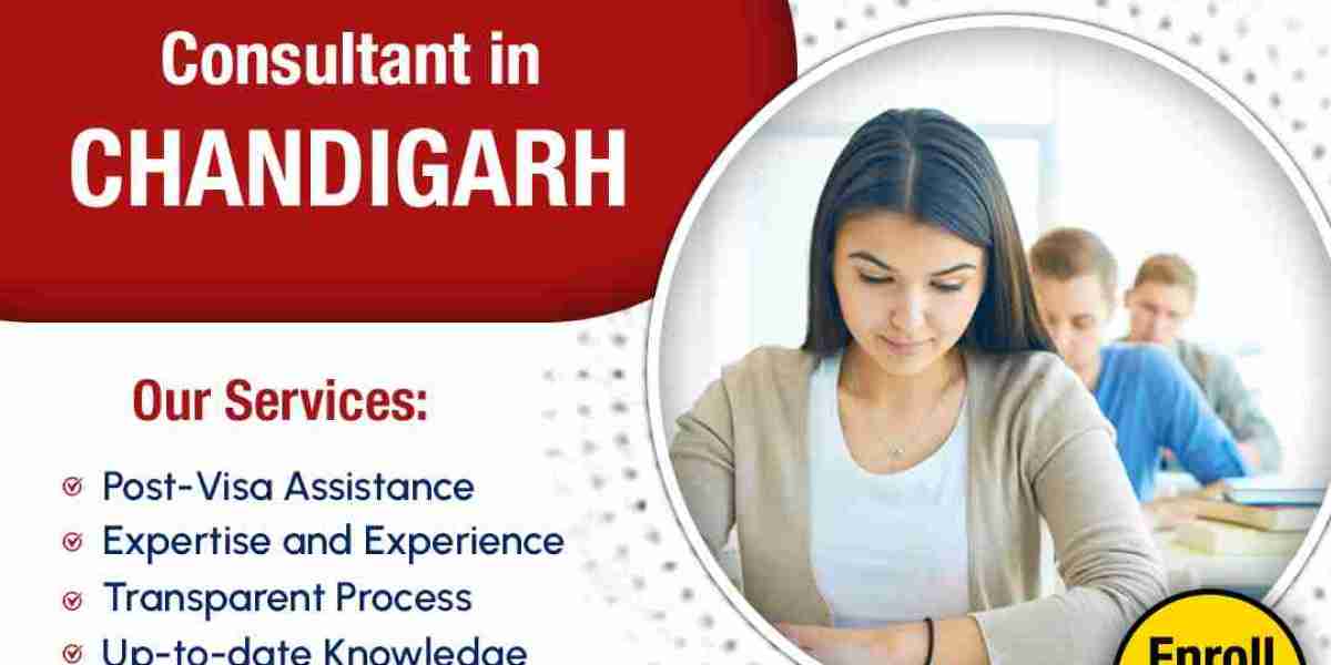 Why Are Canada Visa Consultants in Chandigarh the Top Choice for Professionals?