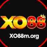 Xo88m org