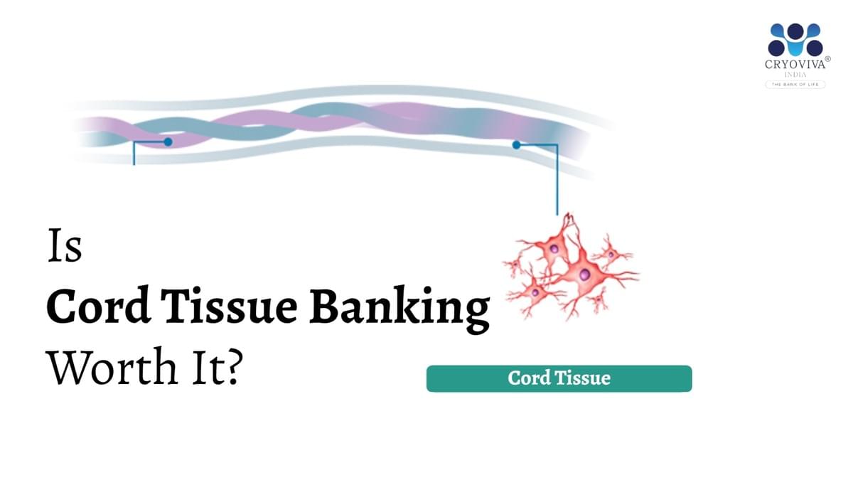 Is Cоrd Tissue Ваnking Worth It? - stem cell banking