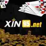 xin95net