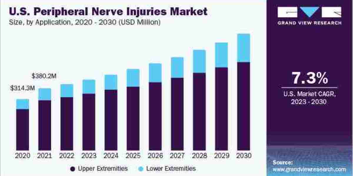 U.S. Peripheral Nerve Injuries Market 2030: Addressing the Burden of Chronic Pain