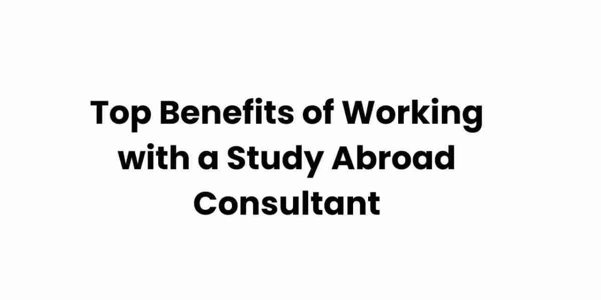 Top Benefits of Working with a Study Abroad Consultant