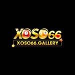 Xoso66 Gallery