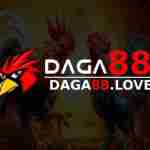 DAGA88