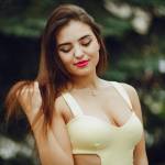 Escort Service In Meerut