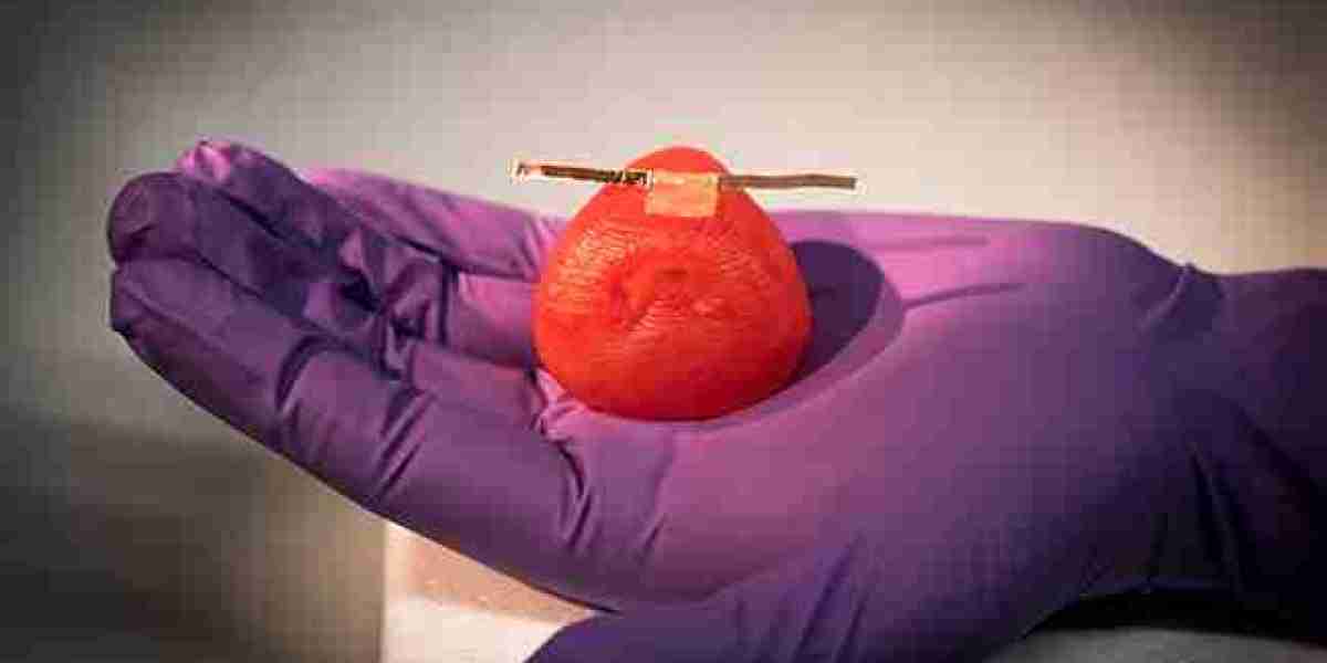 Artificial Organs Market Share, Growth | Industry Analysis Report 2023-2032