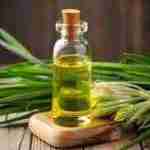 Buy lemongrass Oil online in usa