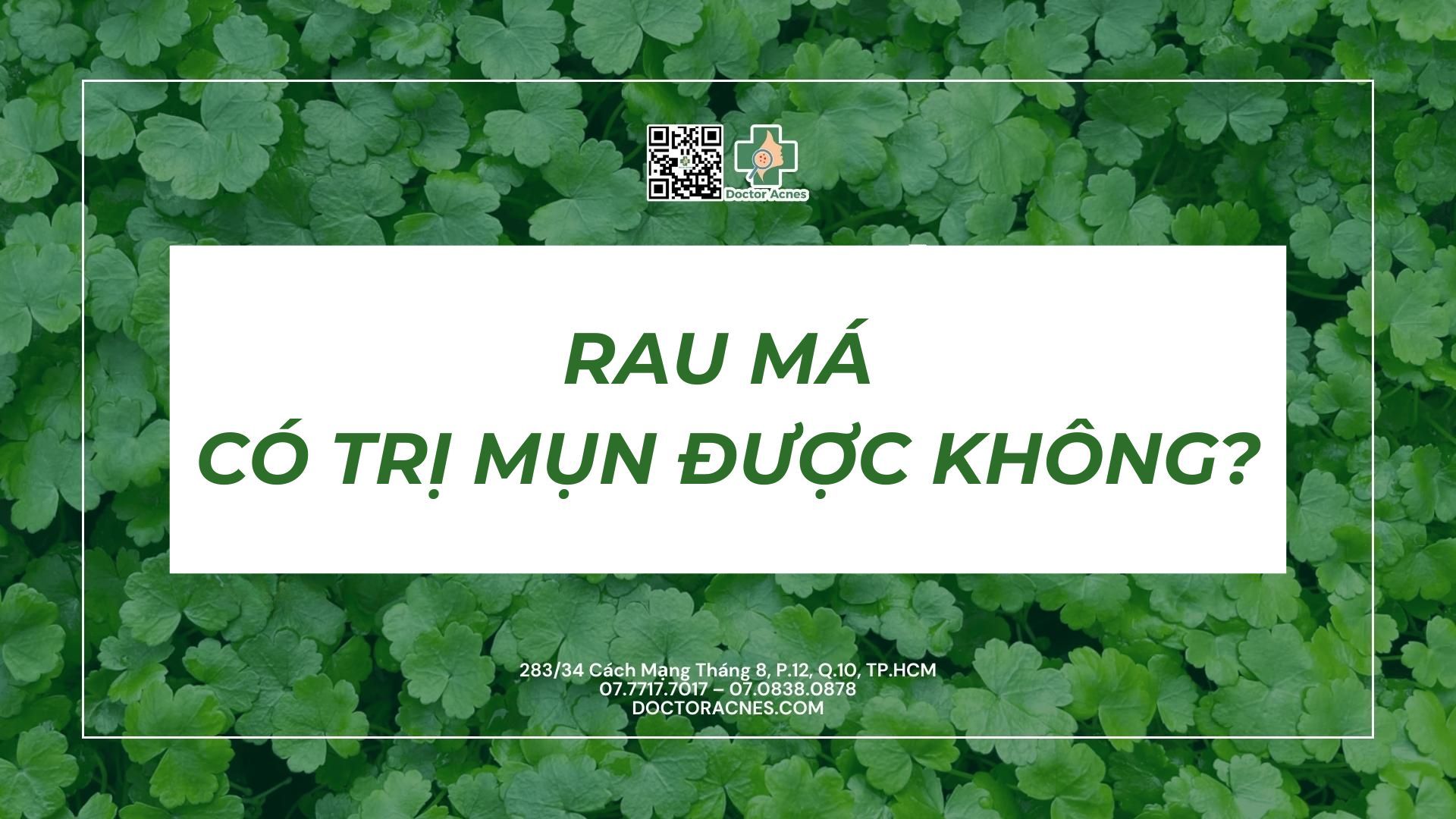 Cách dùng rau má trị mụn hiệu quả mà bạn nên biết