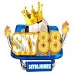 SKY88