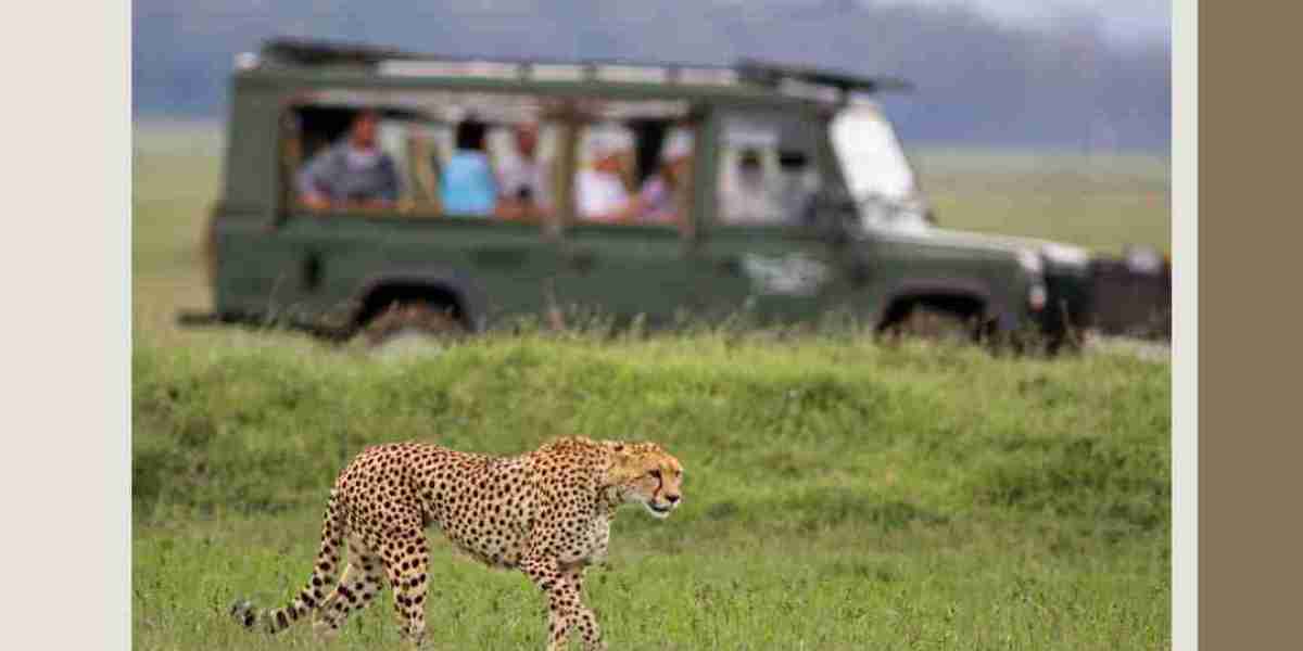 Best Wildlife Safaris in India – Explore Nature with Sundarban Wildlife Tourism