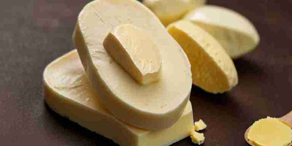 Cocoa Butter Prices, Chart, Historical & Forecast Data