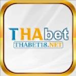 THABET18 net