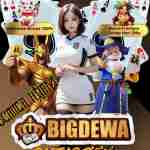 bigdewa blackscatter