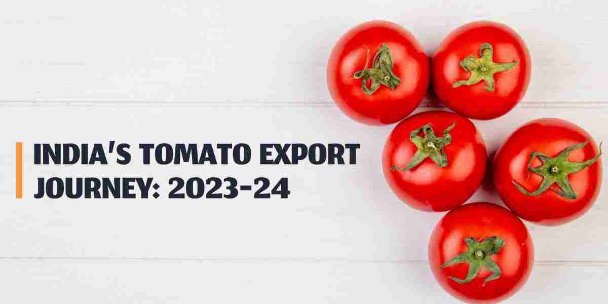 India’s Tomato Export Journey: 2023–24