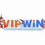 Vipwin Biz