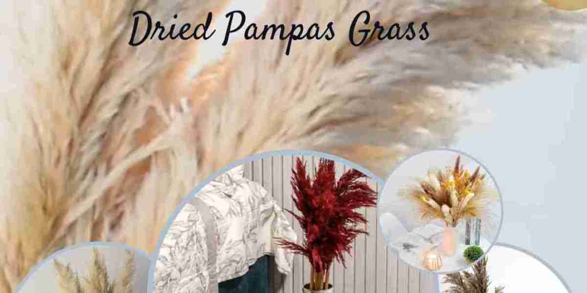 Decorating with Dried Pampas Grass for Home Styling