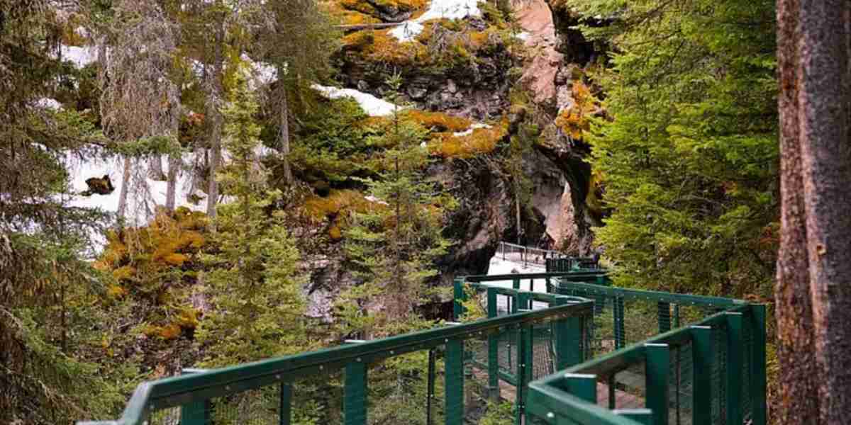 The Best Time of Year for a Banff and Jasper National Park Tour