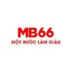 MB66 Feedback