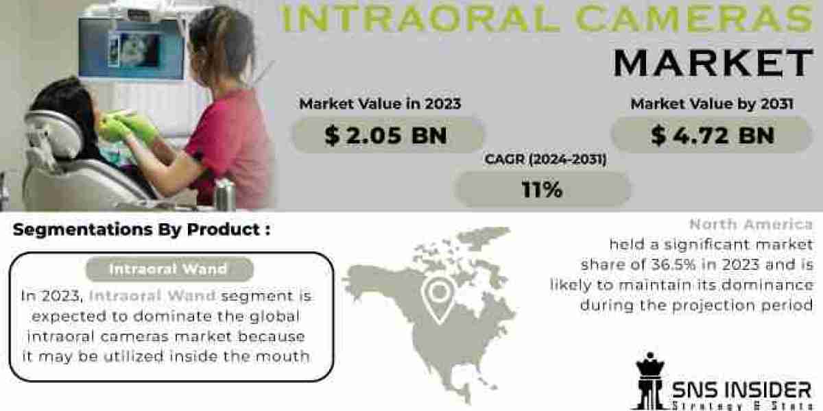 Intraoral Cameras Market Top Companies, New Technology, Demand and Opportunities (2024-2032)