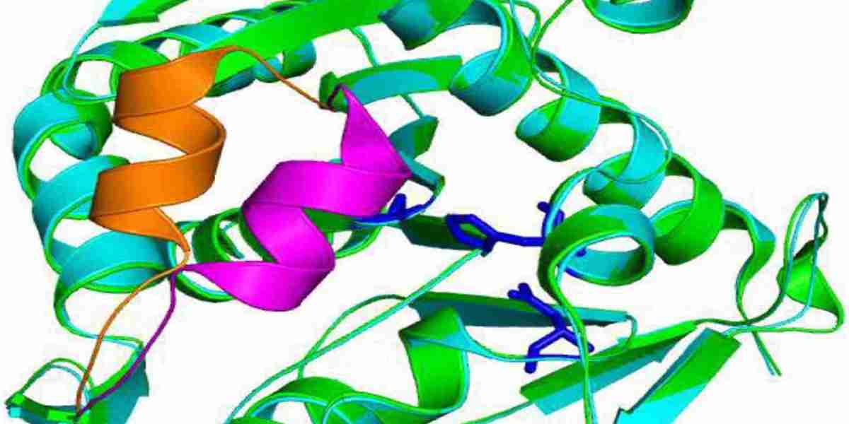 Microbial Lipase Market Comprehensive Analysis And Future Estimations 2032