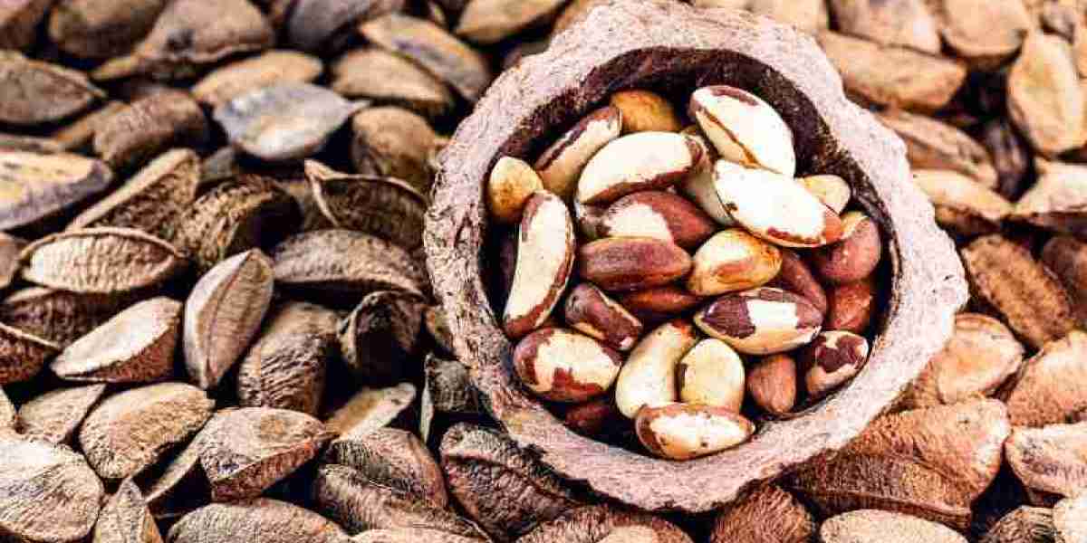 Brazil Nuts Market Share, Trends, Industry Analysis and Report 2024-2032