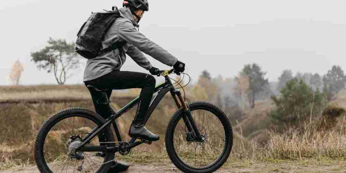 Premium Electric Bicycle: The New Standard in Hybrid Electric Cycle Performance