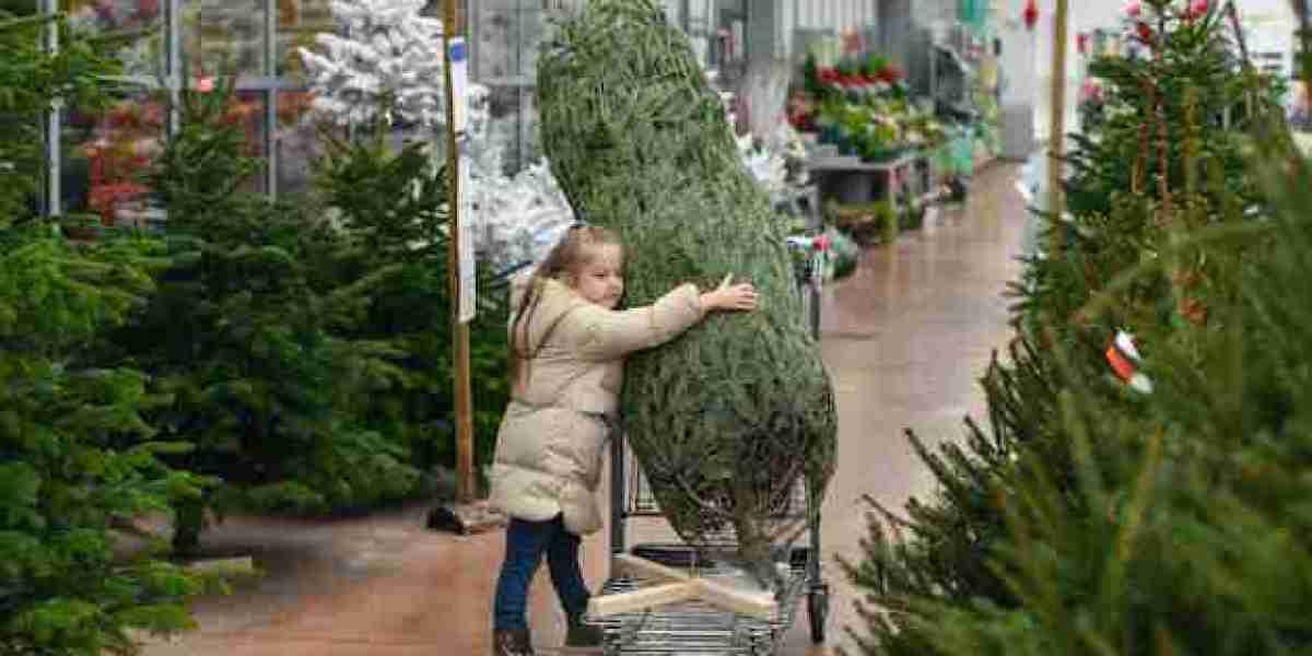 Real Christmas Trees for Sale: How to Choose the Perfect One