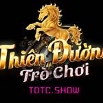 TDTC show