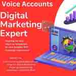 Buy Google Voice Accounts