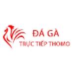 Đá Gà Trực Tiếp Thomo Hôm Nay