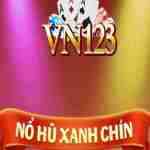 VN123