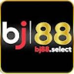 BJ88