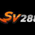 SV288 art